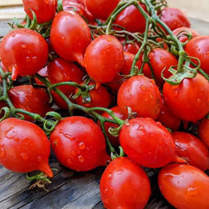 Piennolo Tomato Seeds for Planting – Heirloom & Non-GMO Italian Gourmet Variety