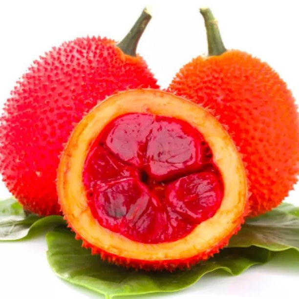 Gac fruit seeds for planting – Heirloom & Non-GMO garden seeds, vibrant exotic superfruit variety