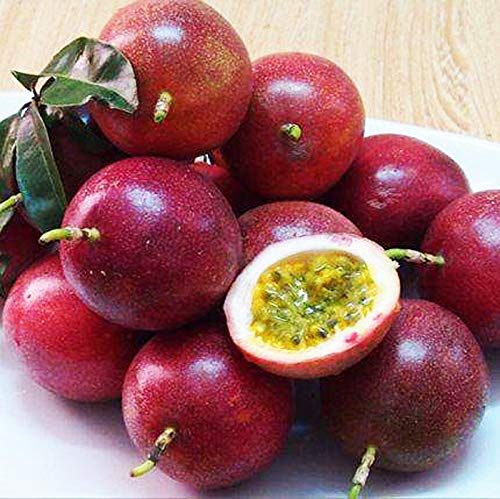Dark Purple Passion Fruit Seeds – Heirloom, Non-GMO Seeds for Lush Backyard Vine Planting
