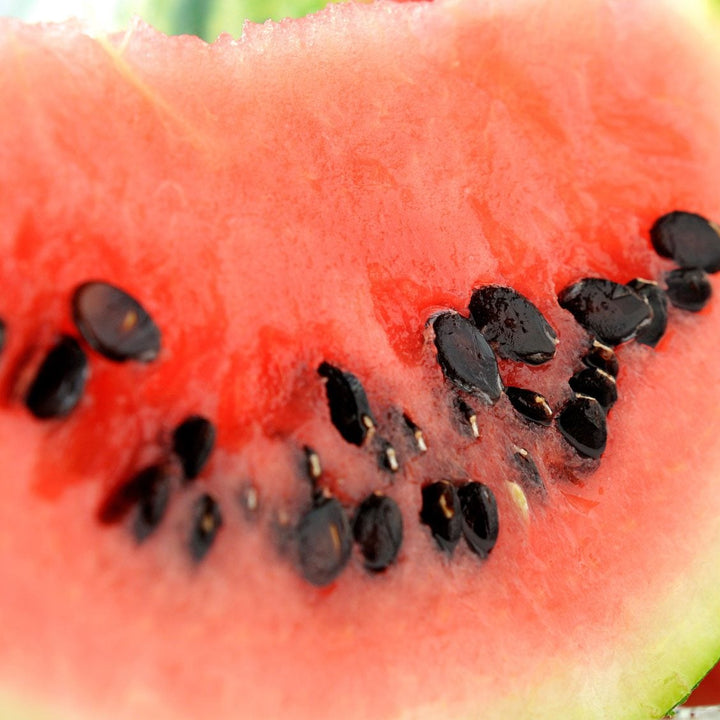 Snow White Watermelon fruit seeds for planting - Heirloom & Non-GMO Garden seeds