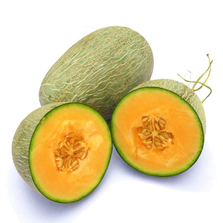 Sweet Hami Melon Fruit Seeds for Planting – Heirloom, Non-GMO Seeds for Juicy Sweet Melons