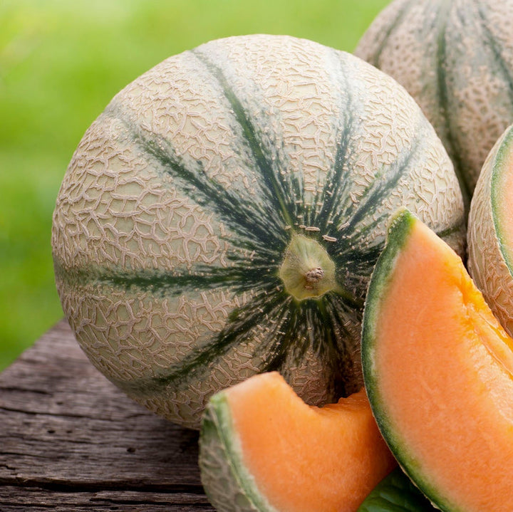 Fruit Seeds,Garden seeds, Seeds For Planting,Plant Seeds