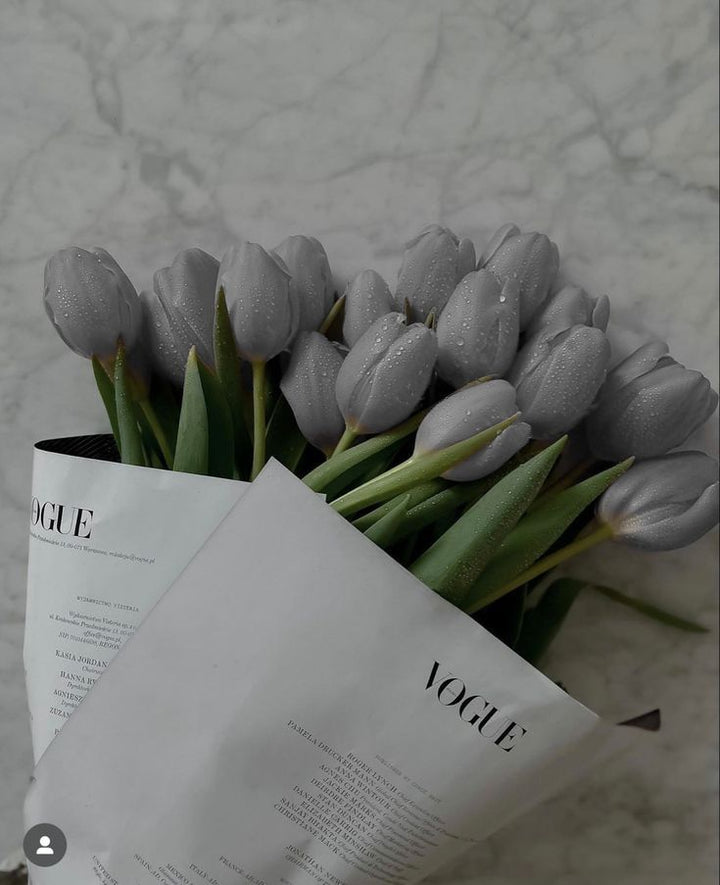Dark Gray Tulip Flower Seeds for Planting - Heirloom, Non-GMO, High Germination Organic Garden Seeds