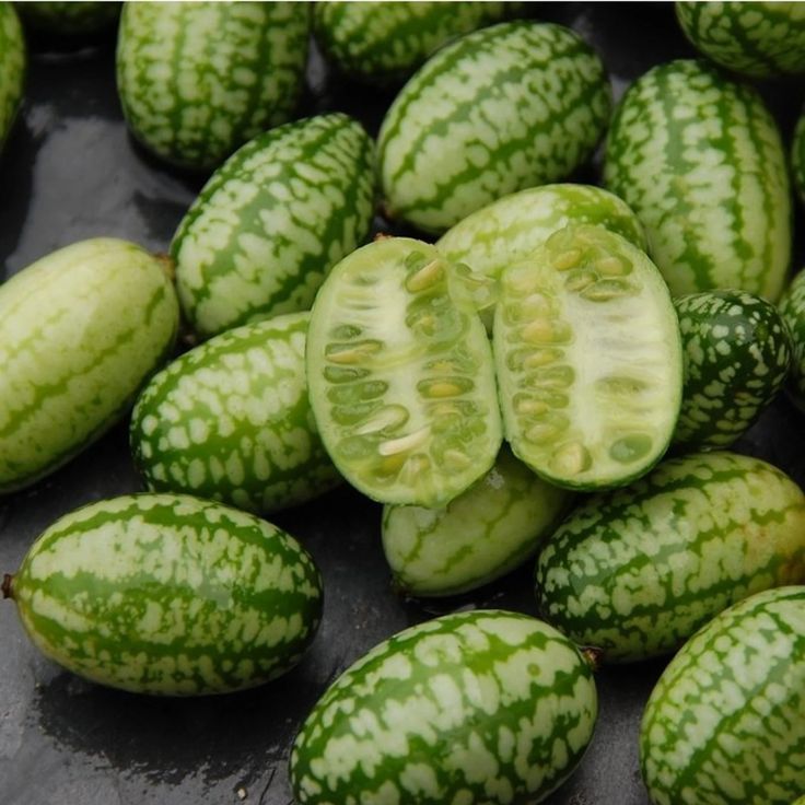 Mouse Melon fruit seeds for planting – Heirloom & Non-GMO garden seeds for unique miniature harvests