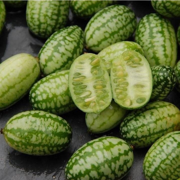 Mouse Melon fruit seeds for planting – Heirloom & Non-GMO garden seeds for unique miniature harvests
