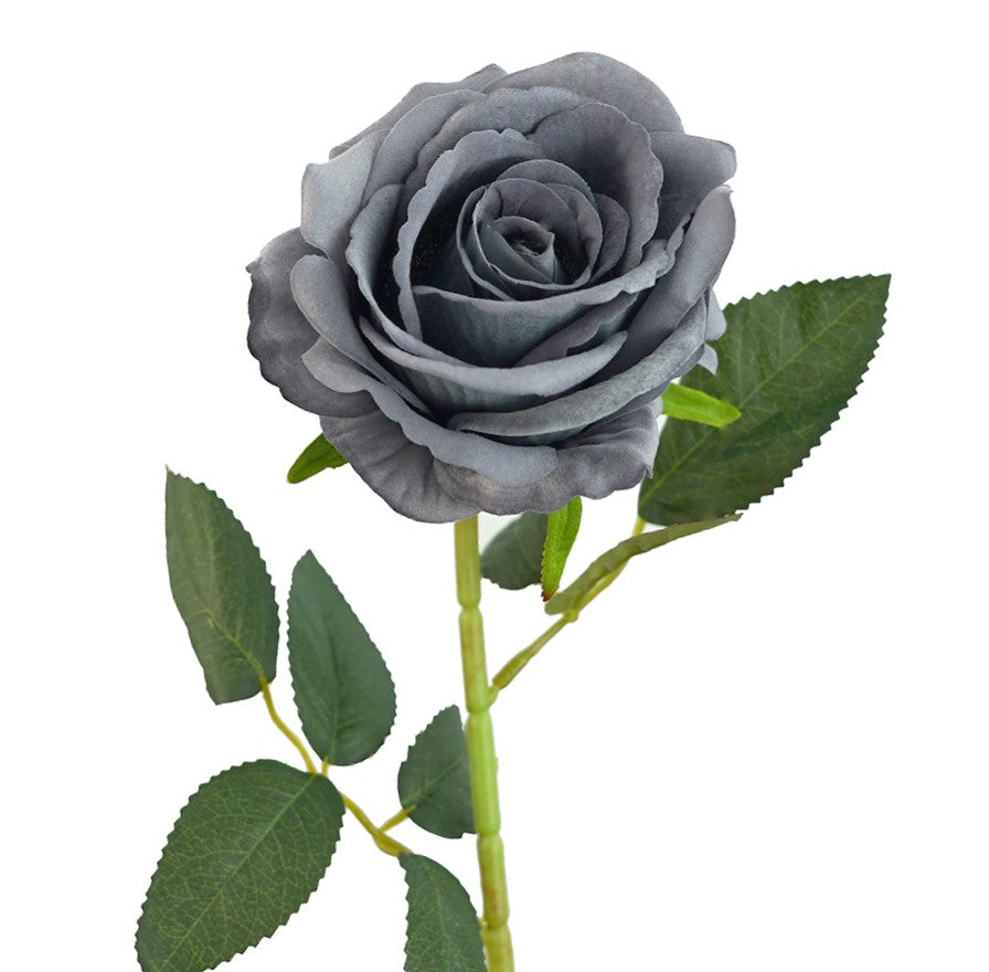 Gray Rose Flower Seeds for Planting – Heirloom, Non-GMO, Vibrant Colors, High Germination