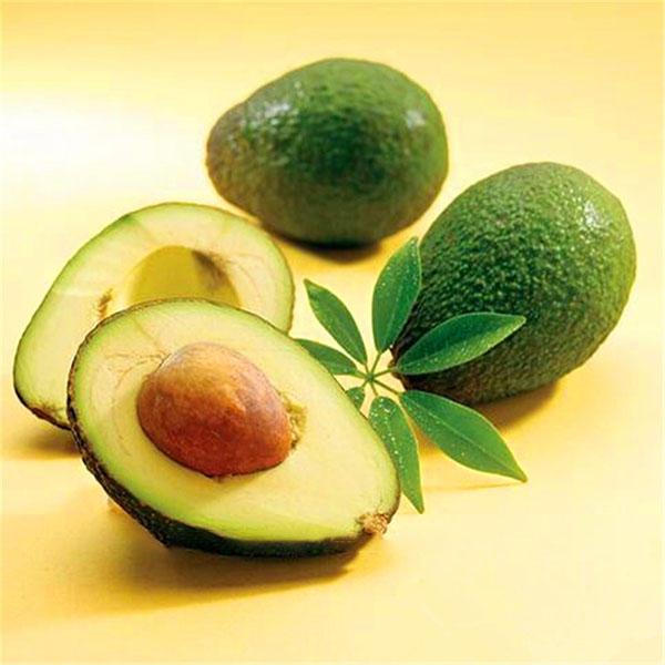 Persea Americana Avocado fruit seeds for planting - Heirloom & Non-GMO Garden seeds
