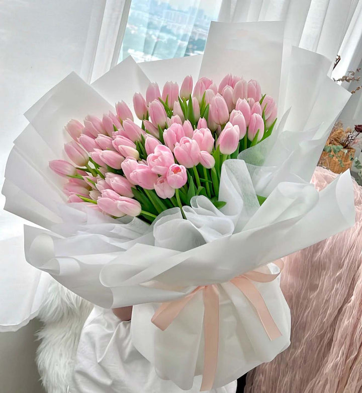 Pale Pink Tulip Flower Seeds for Planting – Heirloom, Non-GMO, Garden Favorite, High Germination