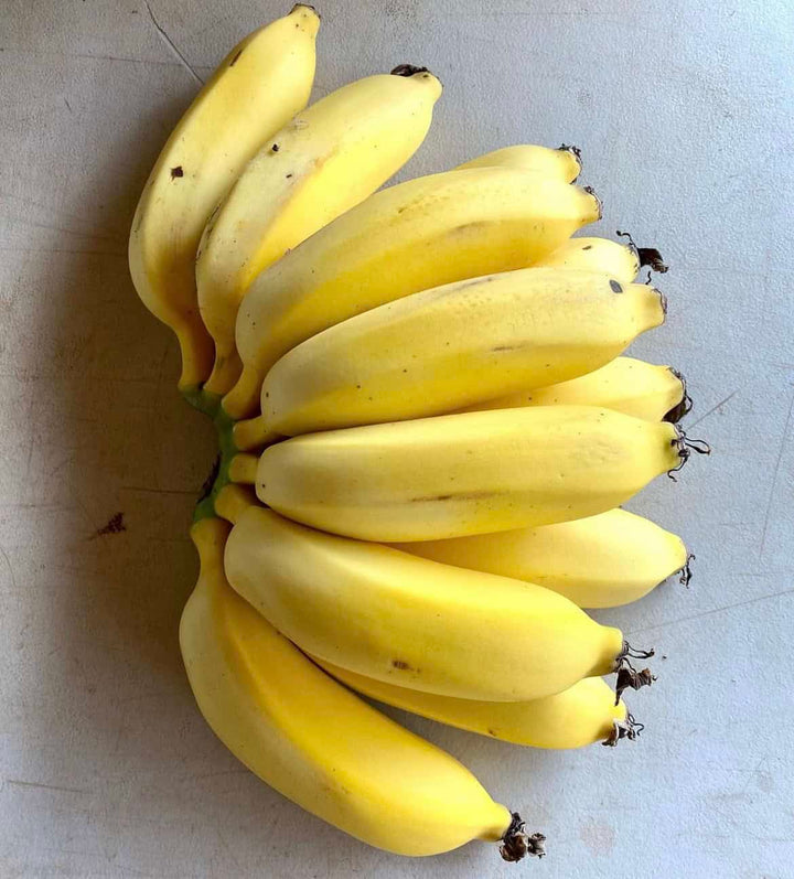Manzano Apple Banana seeds for planting - Heirloom & Non-GMO tropical fruit garden seeds