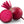 Beet Seeds for Planting – Heirloom, Non-GMO, High Germination Organic Garden Seeds for Nutritious, Earthy Root Harvests