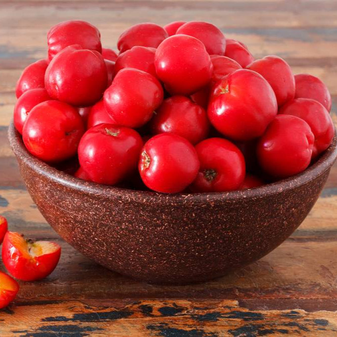 Jamaica Cherry fruit seeds for planting - Heirloom & Non-GMO Garden seeds