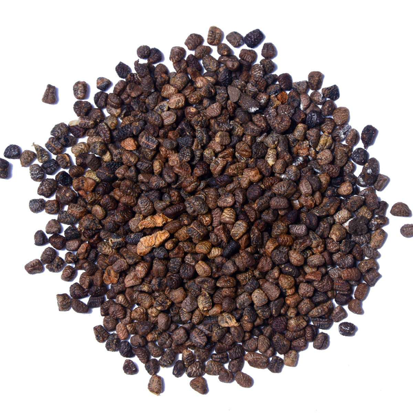Black Cardamom Herb Seeds for Planting – Heirloom, Non-GMO, Organic Garden Seeds with High Germination