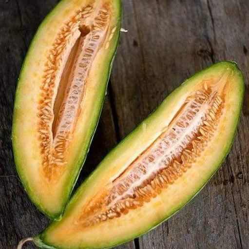 Banana Cantaloupe fruit seeds for planting – Heirloom & Non-GMO garden seeds, sweet summer melon variety