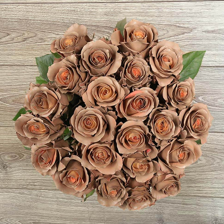 Brown Rose Flower Seeds – Heirloom, Non-GMO Seeds for Planting, Compact Growth, Organic Garden Seeds