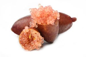 Pink Ice Finger Lime Fruit Seeds for Planting – Heirloom & Non-GMO Garden seeds, gourmet citrus pearls
