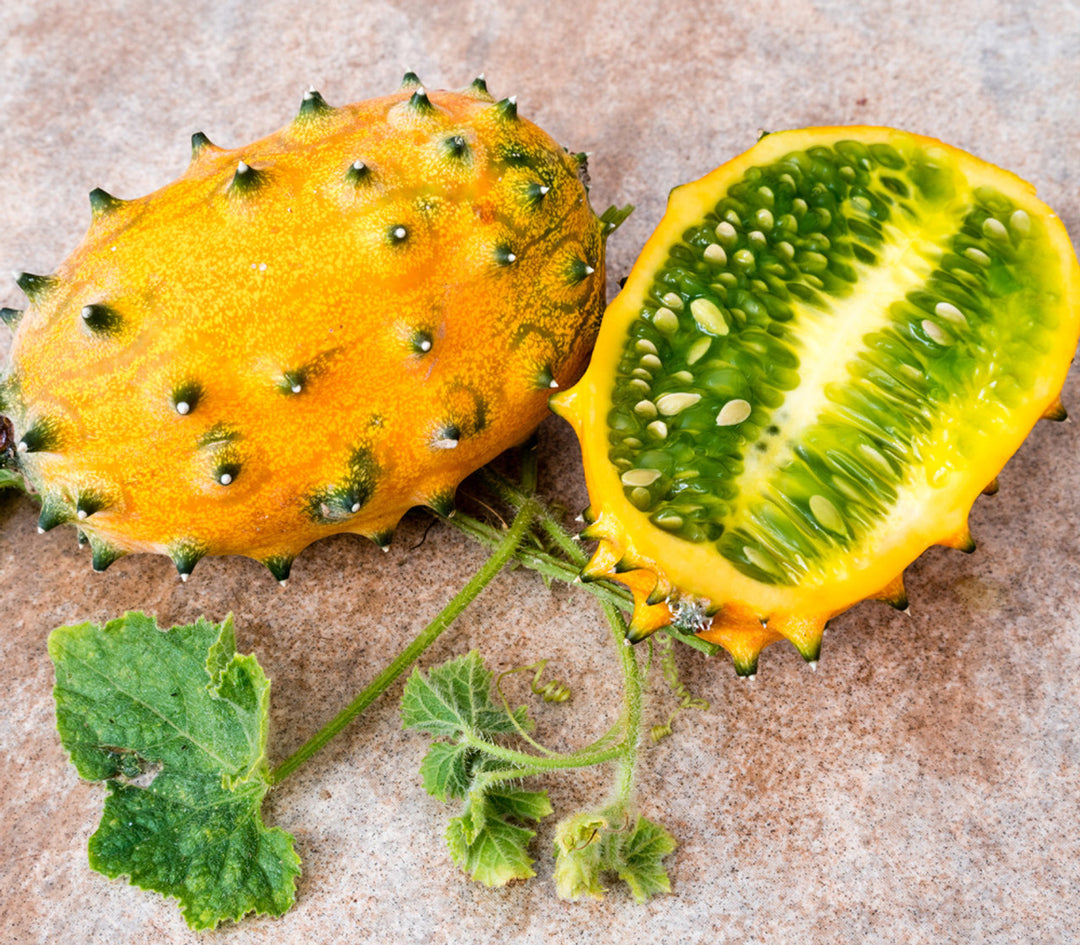 Cucumis Metuliferus Horned Melon Fruit Seeds – Heirloom, Non-GMO Seeds for Unique Home Garden Planting