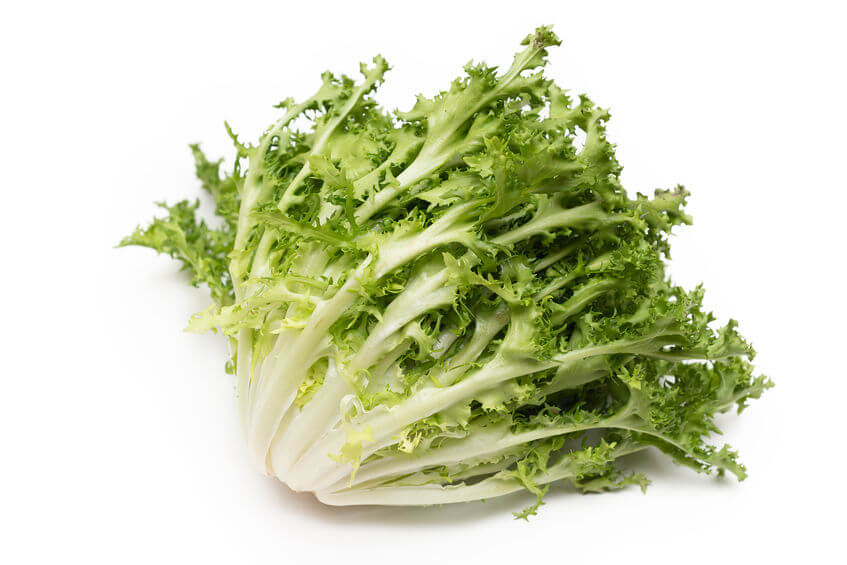 Endive Vegetable Seeds for Planting – Heirloom & Non-GMO Garden Seeds for Crisp, Bitter Leafy Greens