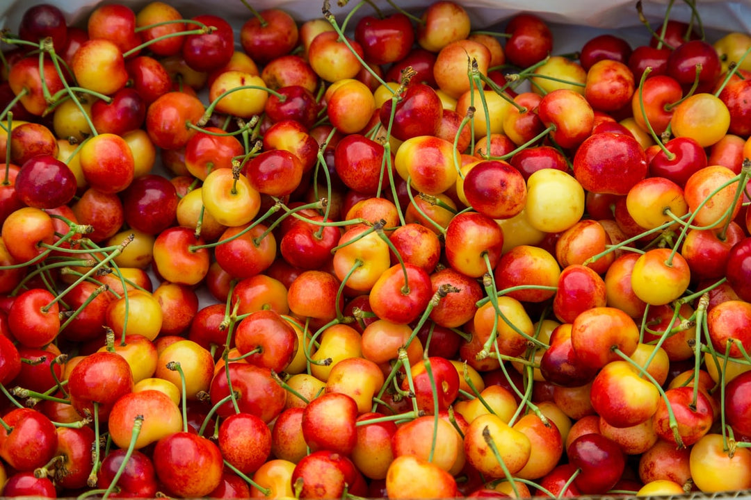 Rainier Sweet Cherry Fruit Seeds – Heirloom, Non-GMO Seeds for Productive Fruit Tree Planting