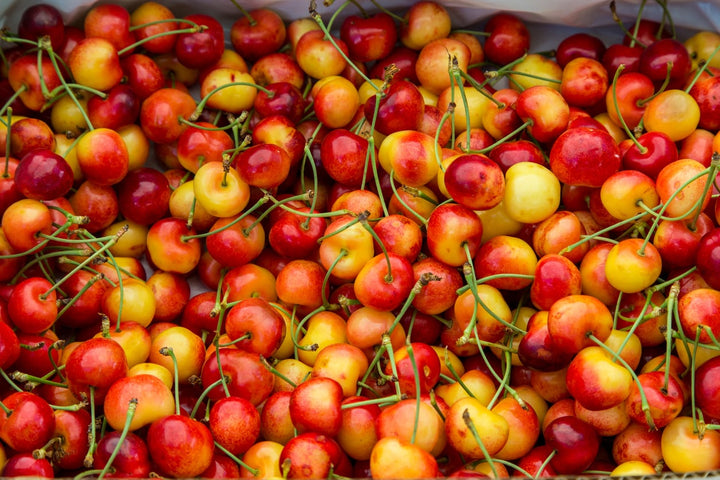 Rainier Sweet Cherry Fruit Seeds – Heirloom, Non-GMO Seeds for Productive Fruit Tree Planting