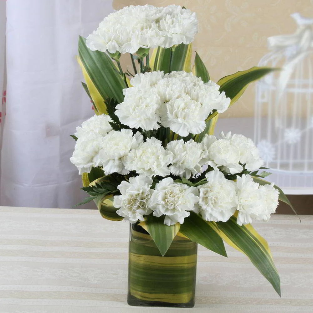 White Carnation Flower Seeds for Planting – Heirloom, Non-GMO, Drought Tolerant, High Germination