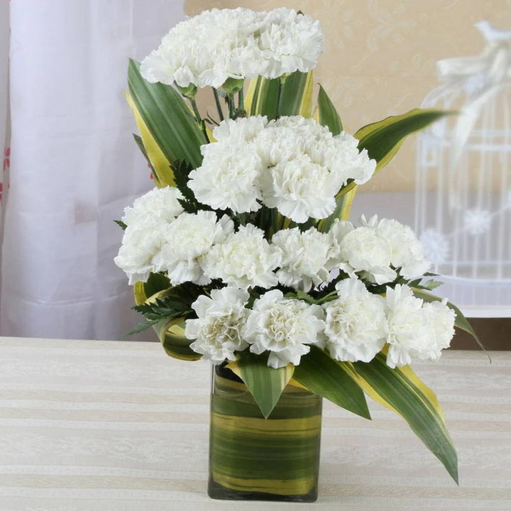 White Carnation Flower Seeds for Planting – Heirloom, Non-GMO, Drought Tolerant, High Germination