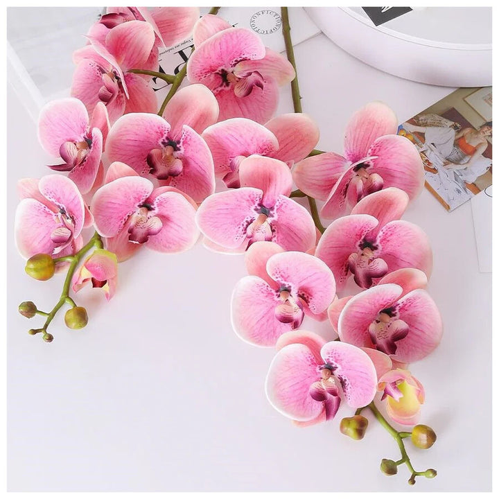 Baby Pink Orchid Flower Seeds for Planting – Heirloom Non-GMO, High Germination Organic Garden Seeds