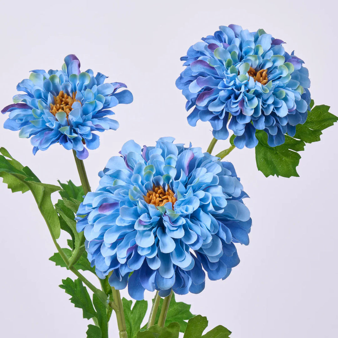 Flower Seeds, Seeds,Seeds For Planting,Plant Seeds