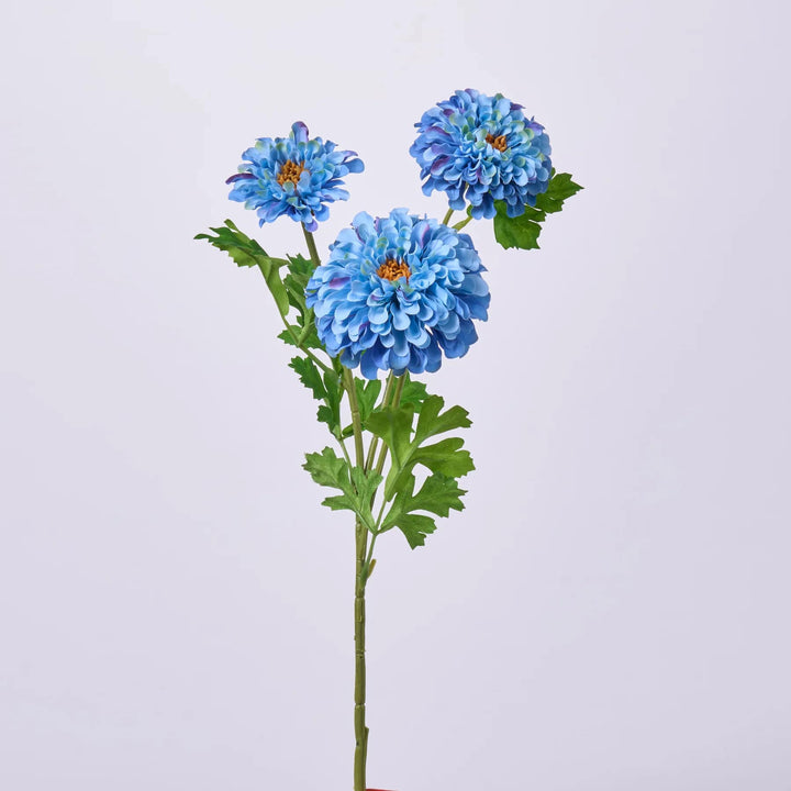 Sky Blue Zinnia Flower Seeds for Planting – Hardy Variety, Heirloom, Non-GMO for Home Garden