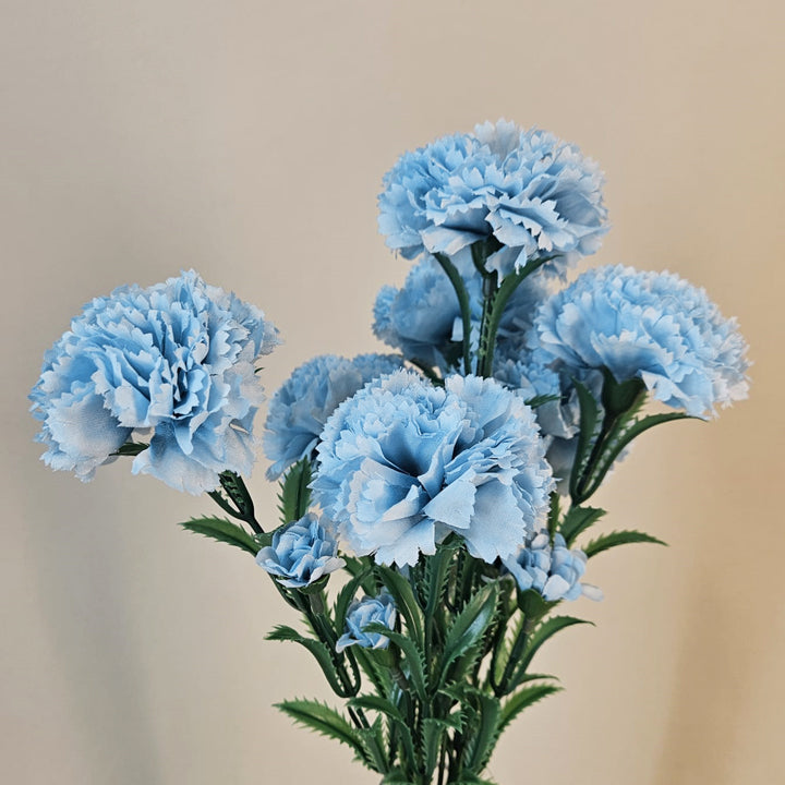 dianthus flower seeds Dianthus Caryophyllus Dark Blue Flower Seeds for Planting – Heirloom, – Earthechoseeds