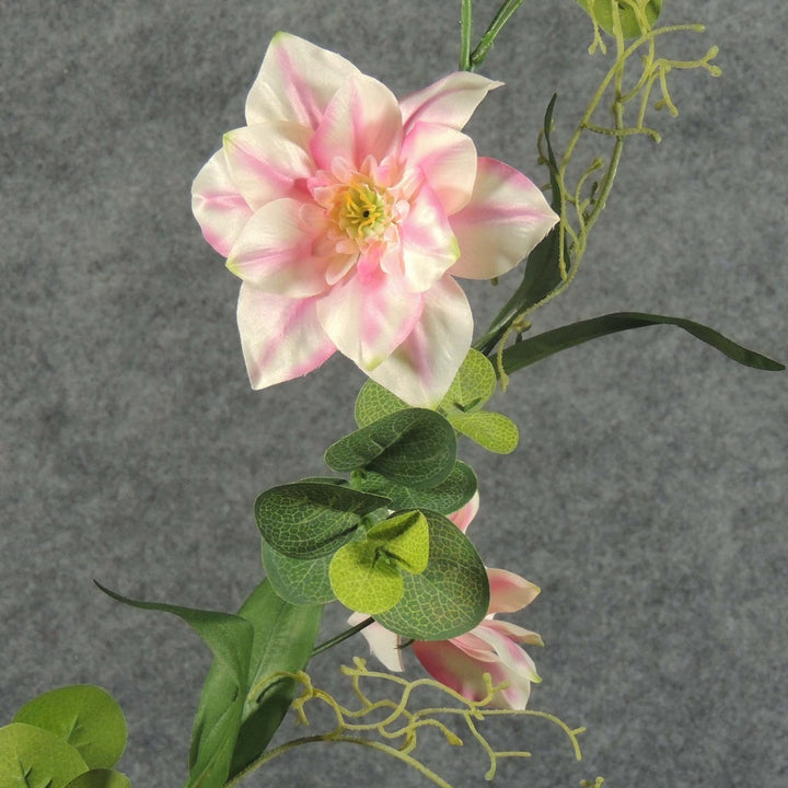 Peach Clematis Flower Seeds for Planting – Heirloom, Non-GMO, Pollinator Friendly, High Germination