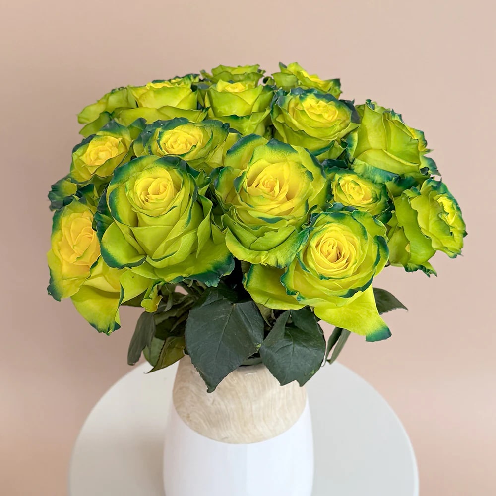 Yellow Green Rose Flower Seeds for Planting – Heirloom, Non-GMO, High Germination Garden Blooms