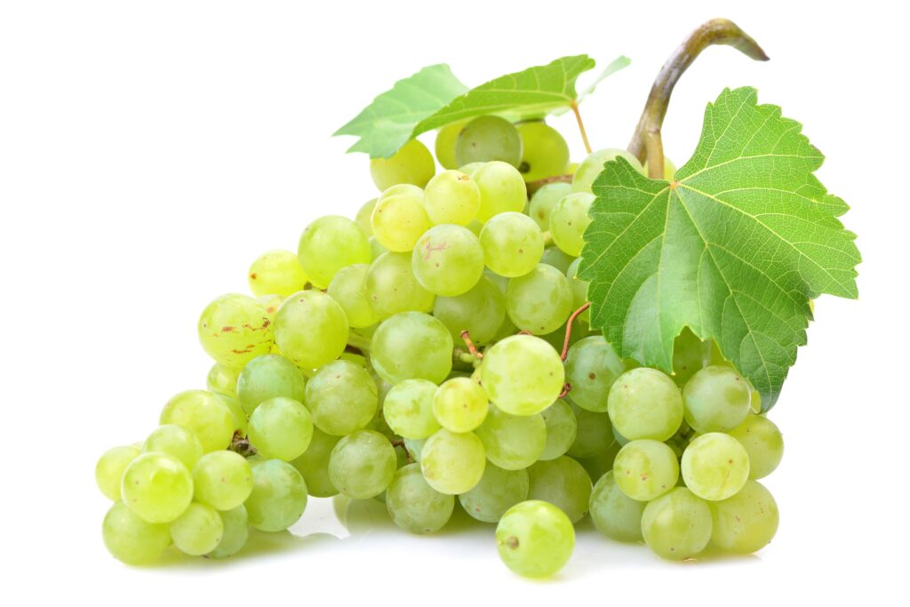 White Muscat Grape Vitis Vinifera Fruit Seeds – Heirloom, Non-GMO Seeds for Aromatic Backyard Planting