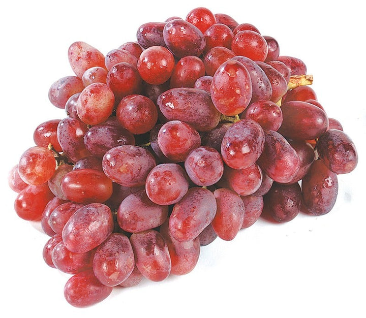 Red Globe Grape Fruit seeds – Heirloom, Non-GMO Seeds for Planting Juicy Fresh Garden Vines