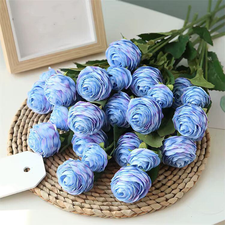 Blue Ranunculus Flower Seeds for Planting – Heirloom, Non-GMO, High Germination Organic Garden Seeds