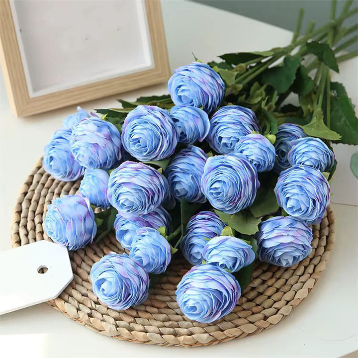 Blue Ranunculus Flower Seeds for Planting – Heirloom, Non-GMO, High Germination Organic Garden Seeds