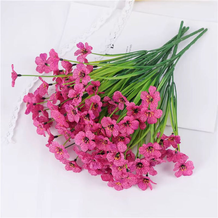 Baby Pink Mini Violet Flower Seeds for Planting – Heirloom, Non-GMO, Seasonal Bloomer, High Germination