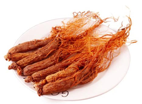 Red Ginsenoside Herb Seeds – Heirloom, Non-GMO Seeds for Garden Planting with Rich Aroma