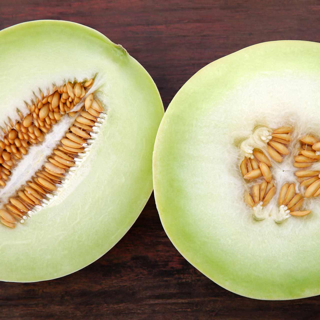 Green Flesh Honeydew Melon Fruit seeds for planting – Heirloom & Non-GMO Garden seeds