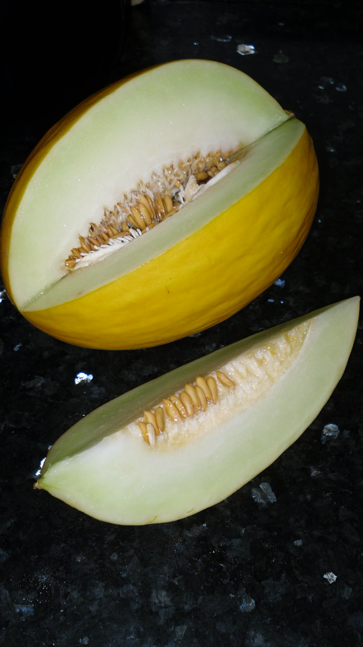 Yellow Cucumis Melo fruit seeds for planting - Heirloom & Non-GMO Garden seeds, refreshing melon variety for gardens