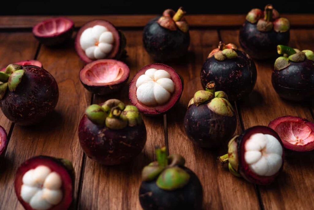 Mangostan Fruit Seeds for Planting – Heirloom Non-GMO Rare Tropical High Germination Organic Garden Seeds
