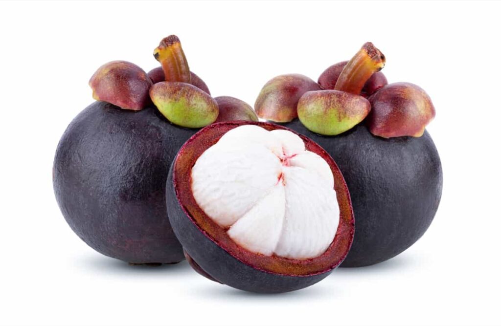 Mangosteen fruit seeds for planting – Heirloom & Non-GMO Garden seeds