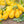 Yellow Pear Tomato flower seeds for planting - Heirloom & Non-GMO Garden Seeds