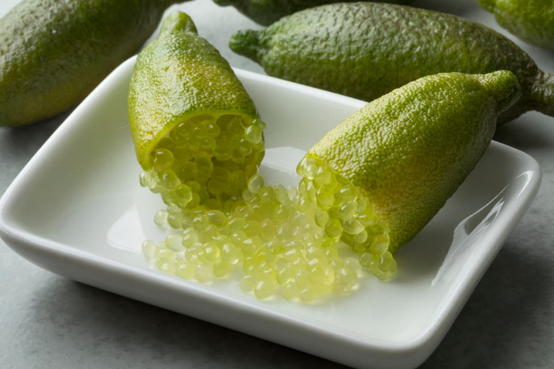 Green Finger Lime Fruit Seeds – Heirloom, Non-GMO Seeds for Unique Tangy Citrus Garden Planting