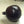 Black Pomegranate Fruit Seeds – Heirloom, Non-GMO Seeds for Decorative Garden Fruit Planting