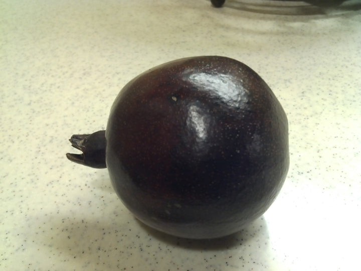 Black Pomegranate Fruit Seeds – Heirloom, Non-GMO Seeds for Decorative Garden Fruit Planting
