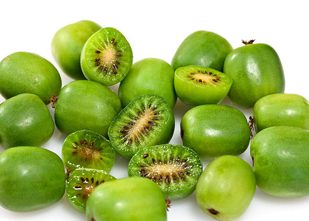 Issai Kiwi Fruit Seeds for Planting – Heirloom, Non-GMO, Self-Pollinating Mini Vine, High Germination Seeds