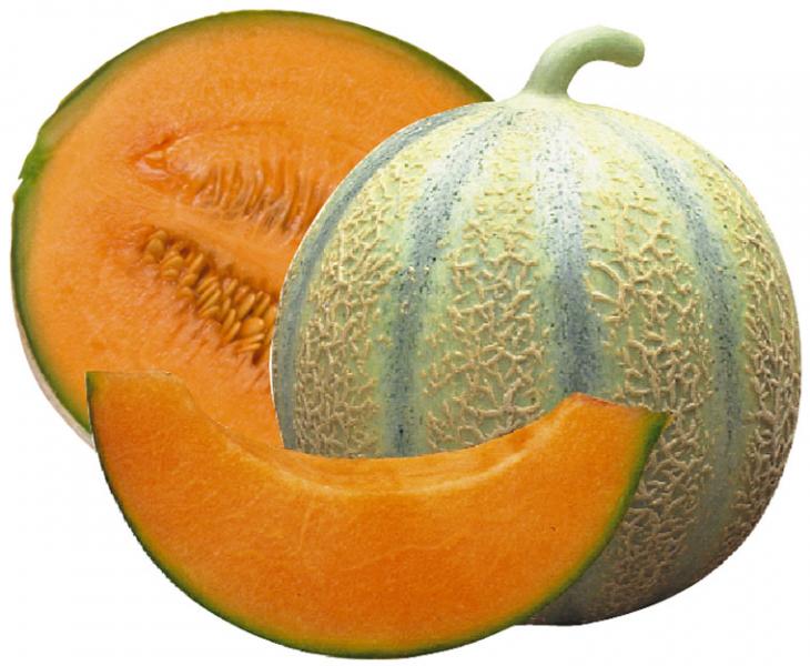 Light Orange Cantaloupe Melon Fruit Seeds – Heirloom, Non-GMO Seeds for Early Fruit Harvesting