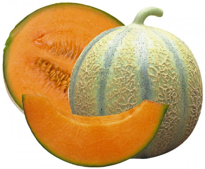 Light Orange Cantaloupe Melon Fruit Seeds – Heirloom, Non-GMO Seeds for Early Fruit Harvesting