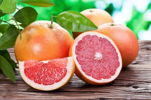 Grapefruit Citrus fruit seeds for planting – Heirloom & Non-GMO Garden seeds