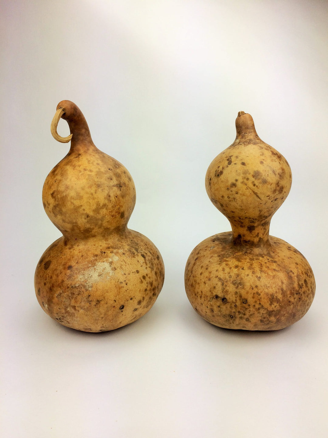 Brown Calabash Bottle Gourd seeds for planting - Heirloom & Non-GMO vegetable garden seeds